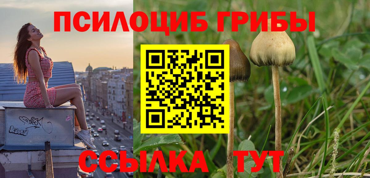 Крымск  Псилоцибиновые грибы мухоморы  Галлюциногенные грибы Magic Shrooms  Вход с VPN 