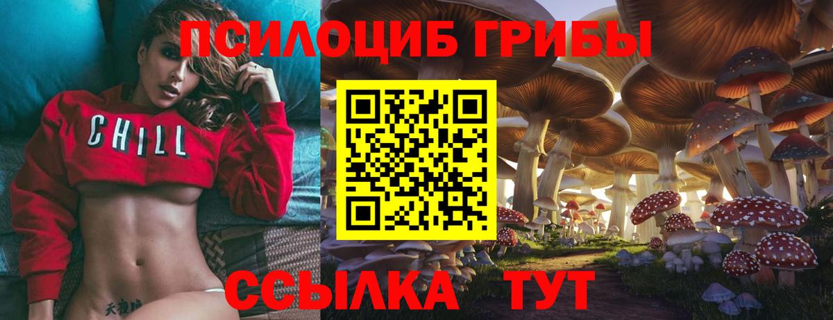 Псилоцибиновые грибы ЛСД Крымск